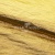 Текстильный материал "Диско"#1805 с покрытием РЕТ, 40гр/м2, 100% полиэстер, цв.5-золото - купить в Краснодаре. Цена 412.36 руб.
