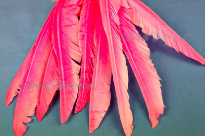 Декоративный Пучок из перьев, перо 25см/розовый - купить в Краснодаре. Цена: 14.40 руб.