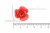 Украшение "Розы малые №1" 20мм - купить в Краснодаре. Цена: 32.49 руб.