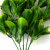 Трава искусственная -1, шт (эвкалипт лист 32 см/8 см)				 - купить в Краснодаре. Цена: 169.93 руб.