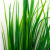 Трава искусственная -2, шт (осока 41см/8 см)				 - купить в Краснодаре. Цена: 104.57 руб.