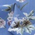 Плательная ткань "Фламенко" 12.1, 80 гр/м2, шир.150 см, принт растительный - купить в Краснодаре. Цена 241.49 руб.