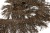 008-коричневый, Бахрома арт.001 шир.10см (упак.12+/-0,5м) - купить в Краснодаре. Цена: 1 017.33 руб.