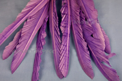 Декоративный Пучок из перьев, перо 25см/фиолетовый - купить в Краснодаре. Цена: 12.19 руб.