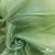 Ткань органза, 100% полиэстр, 28г/м2, шир. 150 см, цв. #27 зеленый - купить в Краснодаре. Цена 86.24 руб.