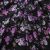 Плательная ткань "Фламенко" 20.1, 80 гр/м2, шир.150 см, принт растительный - купить в Краснодаре. Цена 241.49 руб.