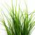 Трава искусственная -3, шт (осока 50 см/8 см  5 листов)				 - купить в Краснодаре. Цена: 124.17 руб.